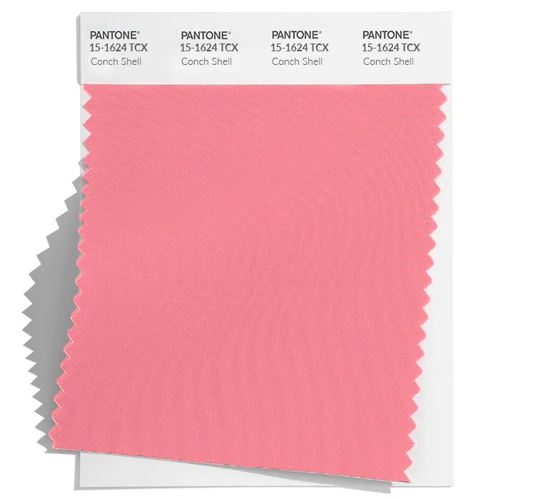 Pantone-15-1624-Conch-shell.jpg